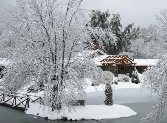 Village Inn - Блоуинг-Рок Экстерьер фото